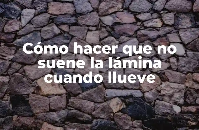 ¿Qué es la lámina y por qué suena cuando llueve?