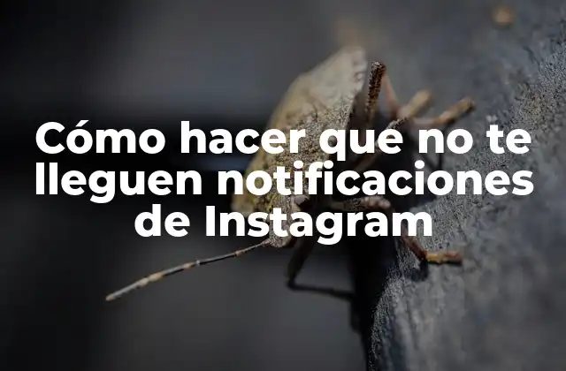 ¿Qué son las notificaciones de Instagram y para qué sirven?