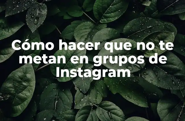Cómo Hacer que No Te Metan en Grupos de Instagram 2 ¿Qué son los grupos de Instagram y por qué algunos usuarios los evitan?