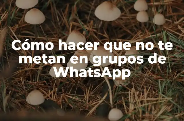 Cómo Hacer que No Te Metan en Grupos de Whatsapp