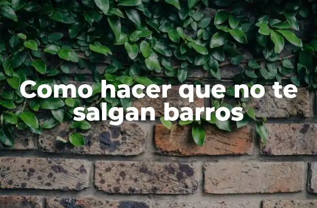 Como Hacer que No Te Salgan Barros