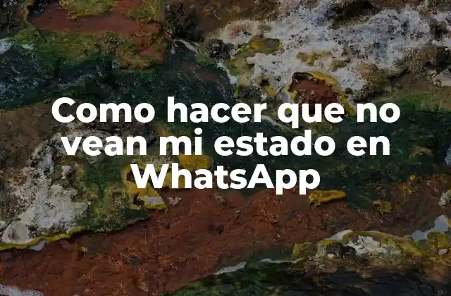 Como Hacer que No Vean Mi Estado en Whatsapp