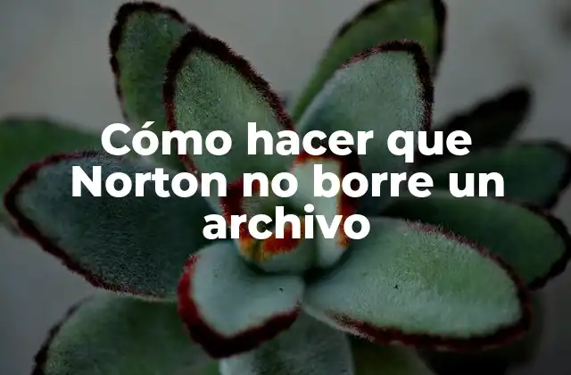 Cómo Hacer que Norton No Borre un Archivo