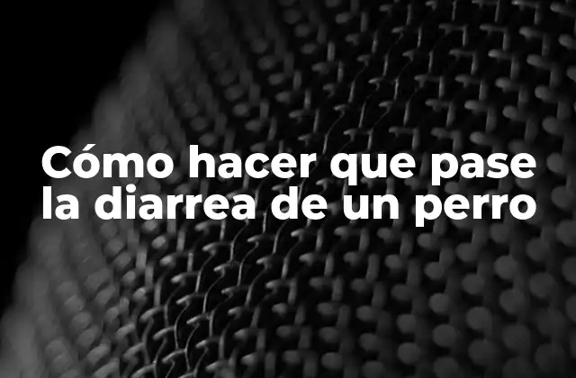 Cómo Hacer que Pase la Diarrea de un Perro
