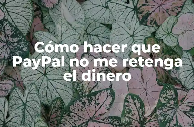 Cómo Hacer que Paypal No Me Retenga el Dinero
