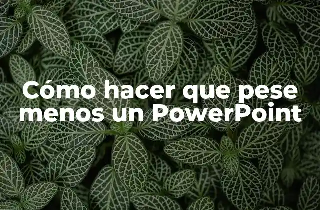 Cómo Hacer que Pese Menos un Powerpoint