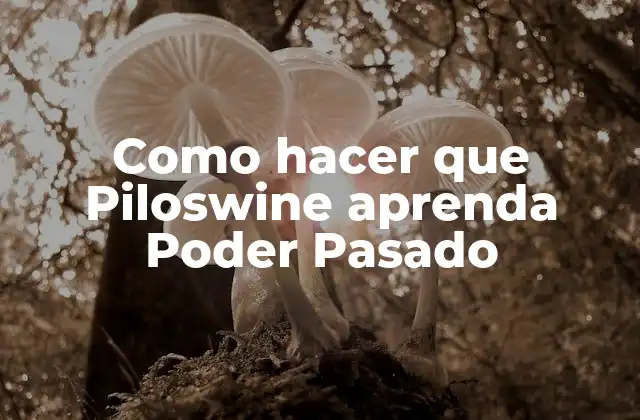 Poder Pasado, una habilidad poderosa para Piloswine