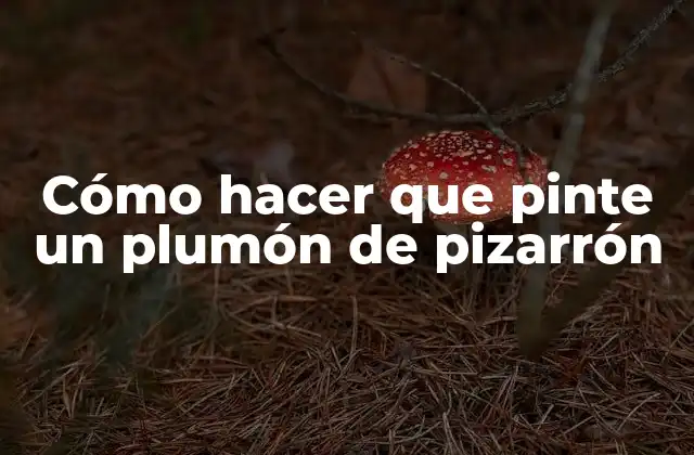 Cómo Hacer que Pinte un Plumón de Pizarrón