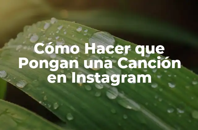 Cómo Hacer que Pongan una Canción en Instagram