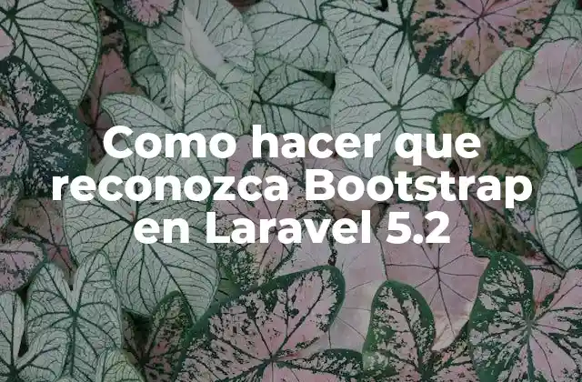 Bootstrap en Laravel 5.2