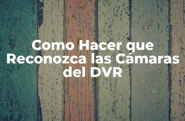 Como Hacer que Reconozca las Cámaras Del Dvr
