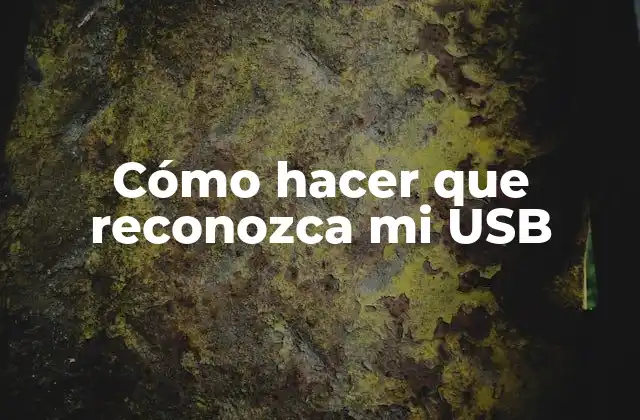 Cómo Hacer que Reconozca Mi Usb