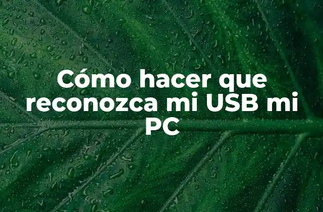 Cómo Hacer que Reconozca Mi Usb Mi Pc