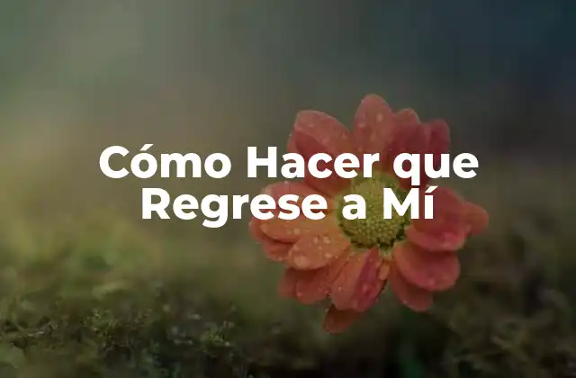 Cómo Hacer que Regrese a Mí