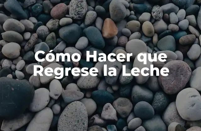 Cómo Hacer que Regrese la Leche