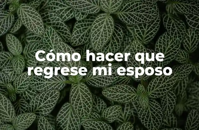 Cómo Hacer que Regrese Mi Esposo