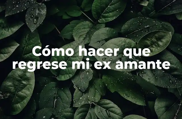 Cómo Hacer que Regrese Mi Ex Amante