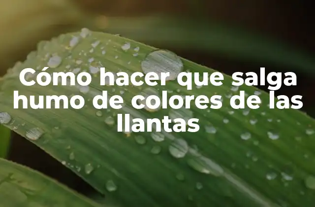 Cómo Hacer que Salga Humo de Colores de las Llantas