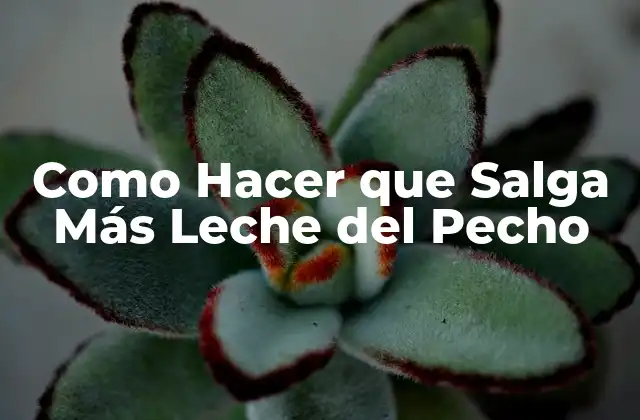Como Hacer que Salga Más Leche Del Pecho