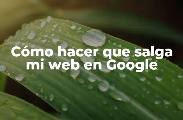 ¿Qué es SEO y cómo afecta la visibilidad de mi sitio web en Google?