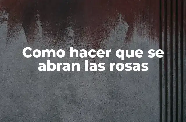 ¿Qué son las rosas y cómo se abren?