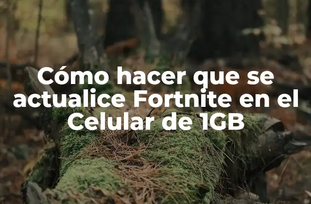 Cómo Hacer que Se Actualice Fortnite en el Celular de 1gb
