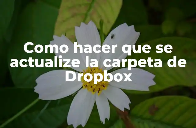 ¿Qué es Dropbox y cómo funciona?