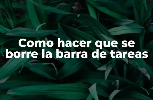 Como Hacer que Se Borre la Barra de Tareas