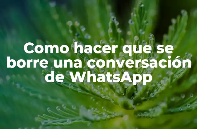 Como Hacer que Se Borre una Conversación de Whatsapp