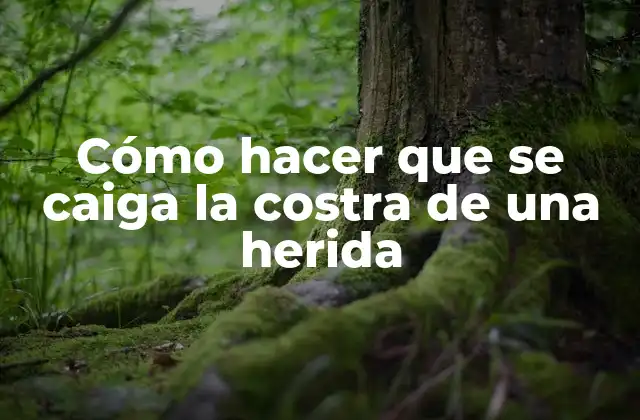 Costra de una herida