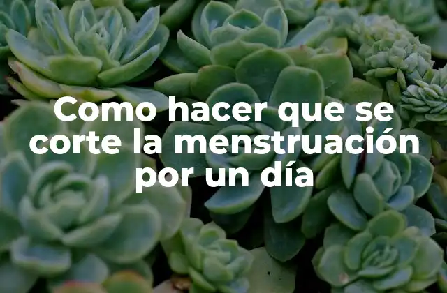 Como Hacer que Se Corte la Menstruación por un Día