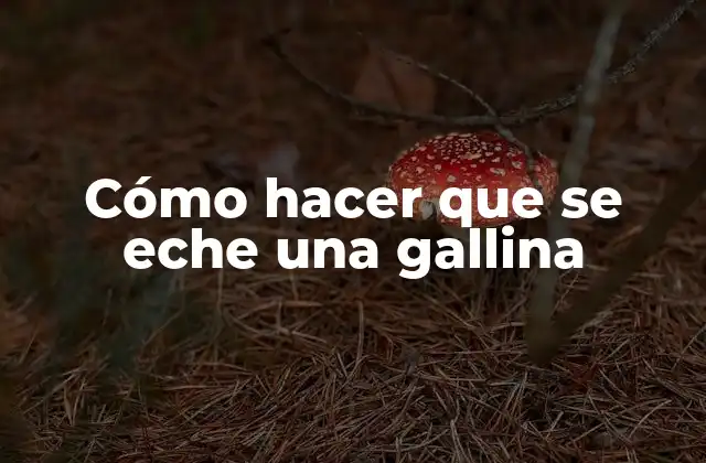 Cómo Hacer que Se Eche una Gallina