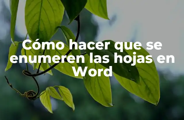 Cómo Hacer que Se Enumeren las Hojas en Word 2 Enumerar hojas en Word