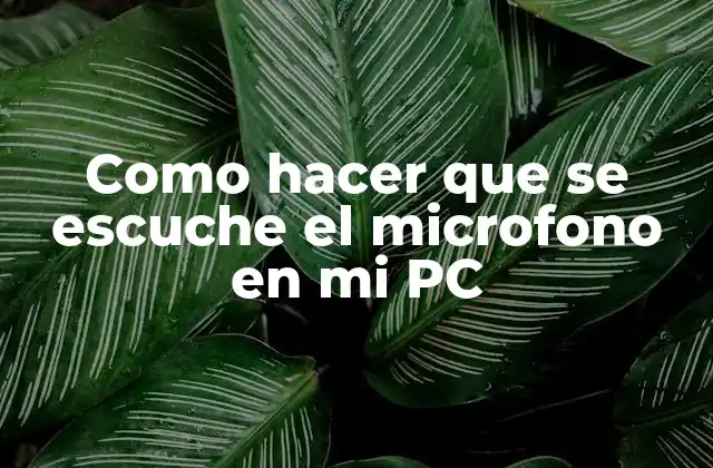 Como Hacer que Se Escuche el Microfono en Mi Pc