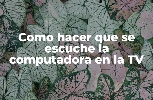 Como Hacer que Se Escuche la Computadora en la Tv