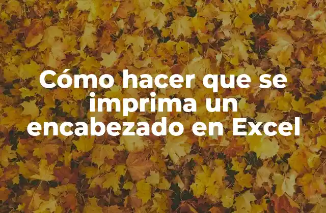 Cómo Hacer que Se Imprima un Encabezado en Excel 2 ¿Qué es un encabezado en Excel y para qué sirve?