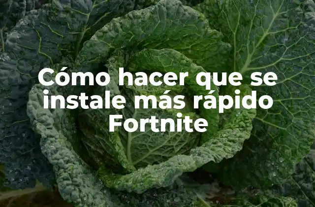 Cómo Hacer que Se Instale Más Rápido Fortnite