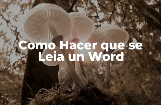 Como Hacer que Se Leia un Word