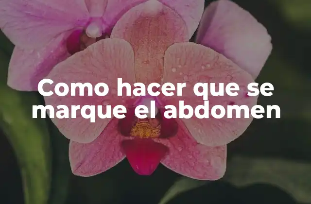 Como Hacer que Se Marque el Abdomen