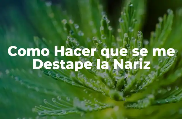 Como Hacer que Se Me Destape la Nariz