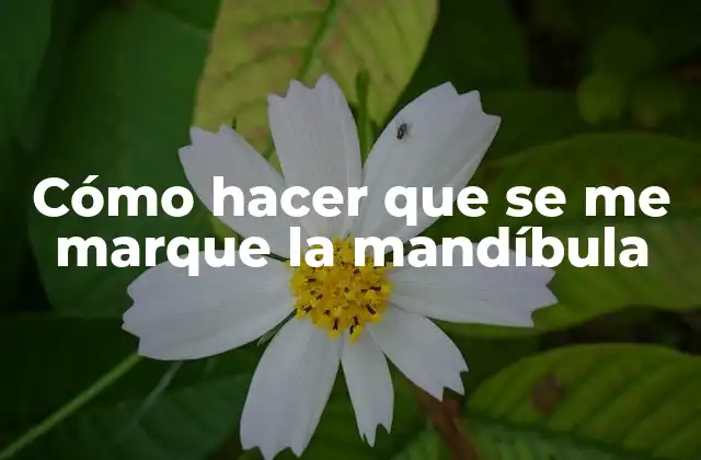 Cómo Hacer que Se Me Marque la Mandíbula