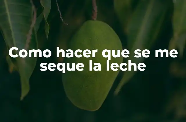 ¿Qué es la lactosa y cómo se forma la leche cuajada?