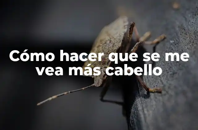 Cómo Hacer que Se Me Vea Más Cabello 2 Cómo hacer que se me vea más cabello