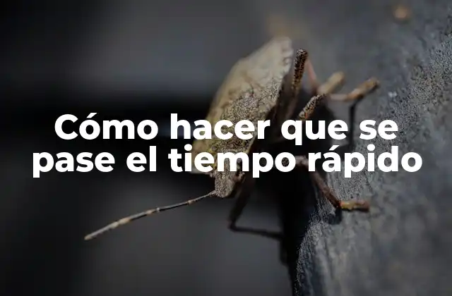 Cómo Hacer que Se Pase el Tiempo Rápido