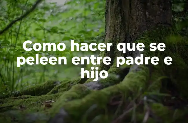 ¿Qué es un conflicto entre padre e hijo y para qué sirve?