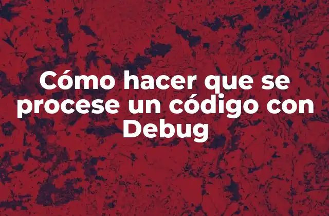 Cómo Hacer que Se Procese un Código con Debug