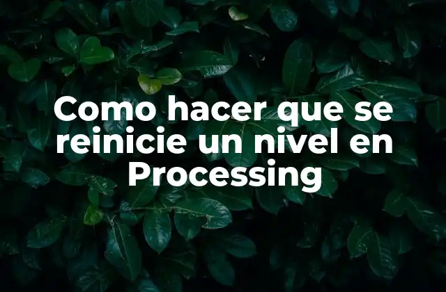 Como Hacer que Se Reinicie un Nivel en Processing