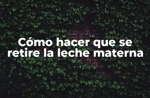 Cómo Hacer que Se Retire la Leche Materna