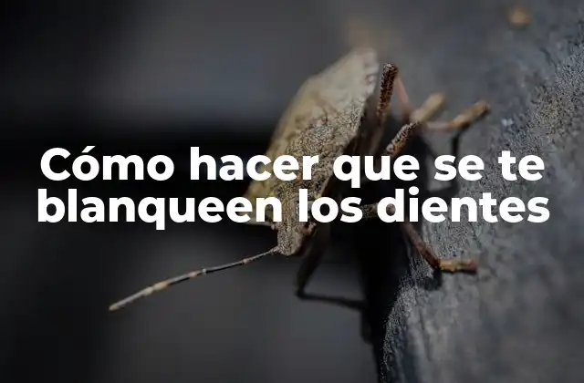 Cómo Hacer que Se Te Blanqueen los Dientes