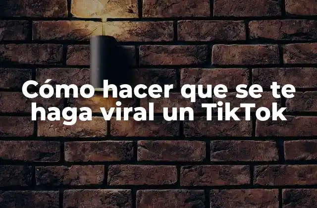 Cómo Hacer que Se Te Haga Viral un Tiktok